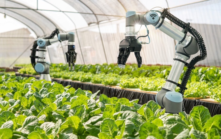 Ứng dụng công nghệ thông tin và tự động hóa cho nông nghiệp công nghệ cao