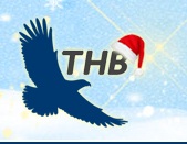 Công ty cổ phần công nghệ THB Việt Nam