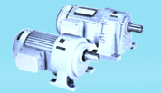 1-Tunglee - PL.GL Type 3-Phase Horizontal Gear Reduction Motor